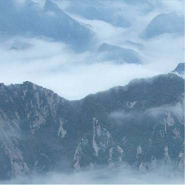 免费下载的短信攻击